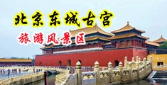 好黄好污的免费操逼视频中国北京-东城古宫旅游风景区